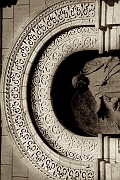 Wall_Art_Alphabet_Photography_Art_ 372